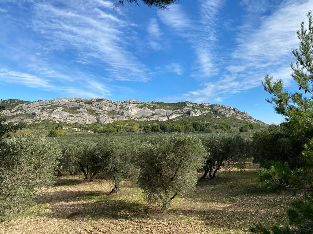 Alpilles Provence - Management of seasonal rentals